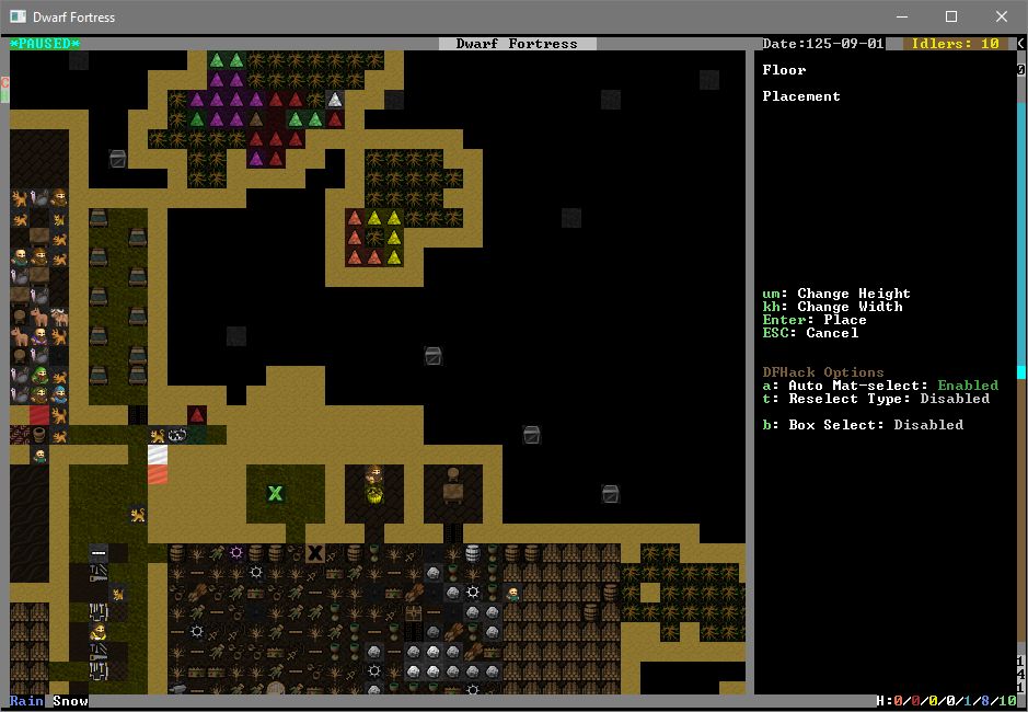 dwarf fortress office